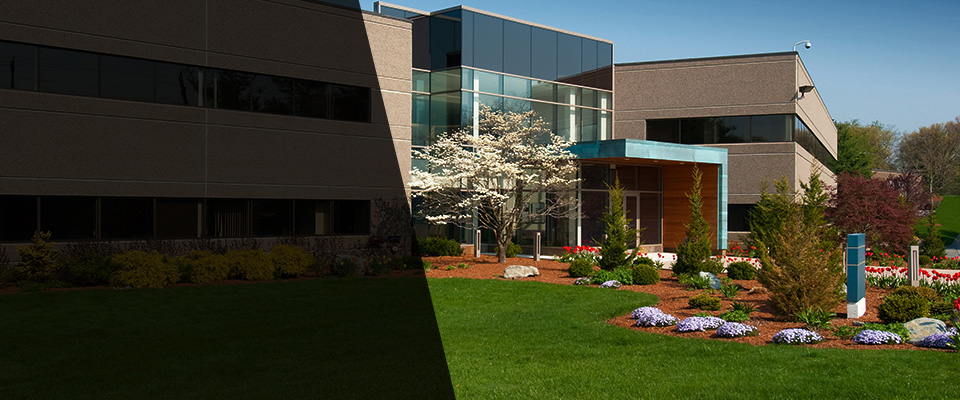 Trinity Landscapers