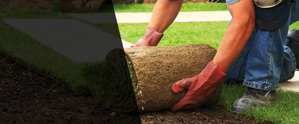 Trinity Landscapers